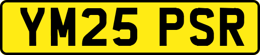 YM25PSR