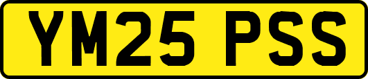 YM25PSS