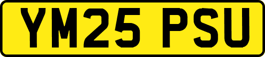 YM25PSU
