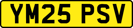 YM25PSV