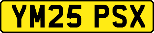 YM25PSX