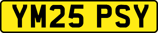 YM25PSY