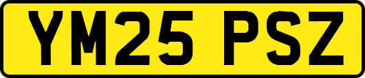 YM25PSZ