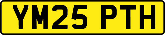 YM25PTH