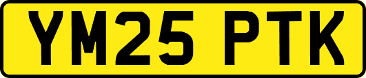 YM25PTK