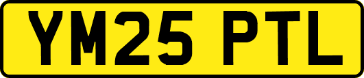 YM25PTL