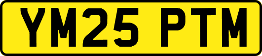 YM25PTM