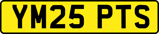 YM25PTS
