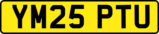 YM25PTU