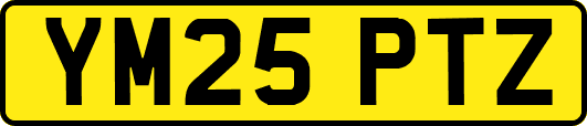 YM25PTZ