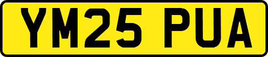 YM25PUA