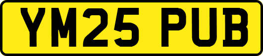 YM25PUB