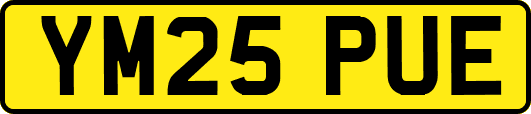 YM25PUE