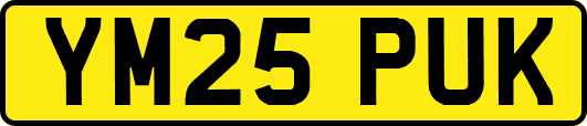 YM25PUK