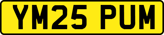 YM25PUM