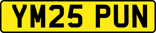 YM25PUN