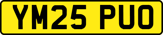 YM25PUO