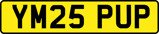 YM25PUP