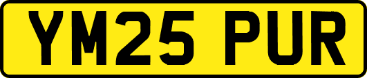YM25PUR