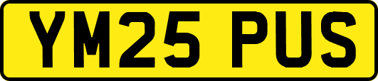 YM25PUS