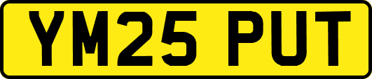 YM25PUT