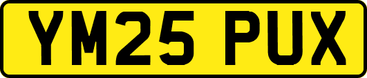 YM25PUX
