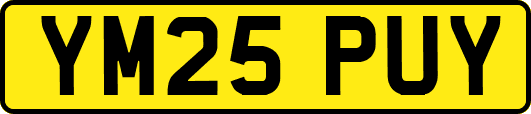 YM25PUY