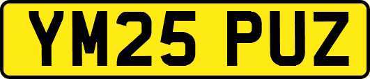 YM25PUZ