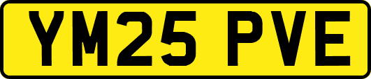 YM25PVE