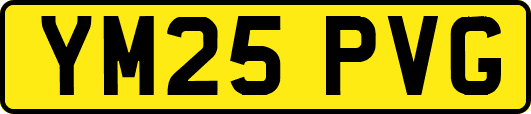 YM25PVG