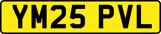 YM25PVL