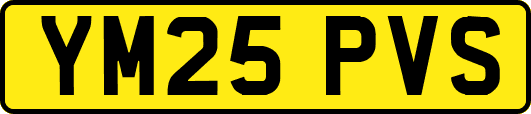 YM25PVS
