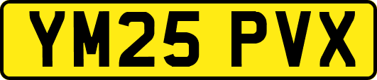 YM25PVX