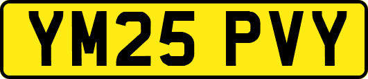 YM25PVY