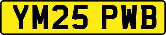 YM25PWB