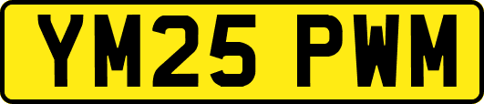 YM25PWM