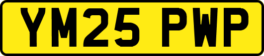 YM25PWP