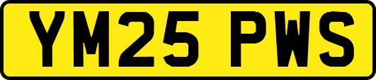 YM25PWS