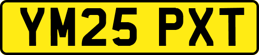 YM25PXT
