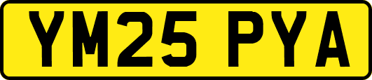 YM25PYA