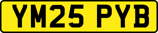 YM25PYB