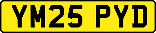 YM25PYD