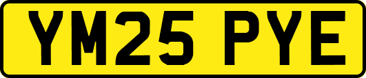 YM25PYE