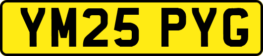 YM25PYG