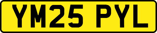 YM25PYL
