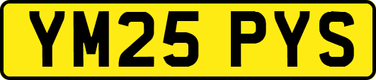 YM25PYS