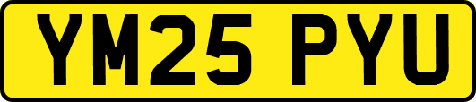 YM25PYU