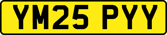 YM25PYY