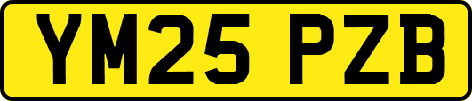 YM25PZB