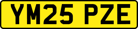 YM25PZE